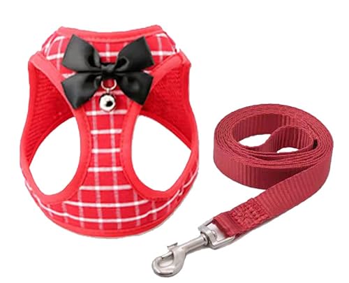 [h n[lX Q_Zbg L TVc   ybgpi ^ ^  L m LbgEFA hbOEFA Red3 2XS