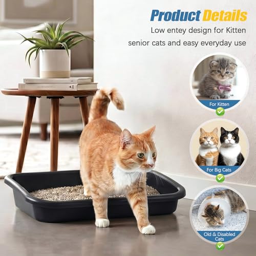 Caja de arena baja para gatos senior Uiifan 16.9x12x3.15 pulg miniatura 5
