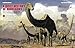 Discovering Dinosaurs: The Secrets of the World's Most Amazing Creatures