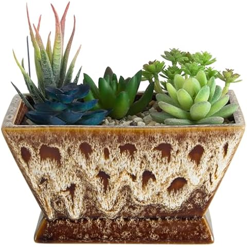 ARTKETTY Succulent Pots - 7 Inch Large Plant Pots with Drainage, Shallow Bonsai Pots Ceramic Succulent Planters for Indoor Outdoor Plants, Modern Cactus Pots Decorative Home Office Cover