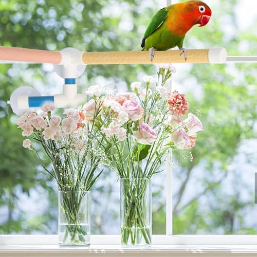 Doble barra de entrenamiento para aves pequeñas para evitar caídas 6