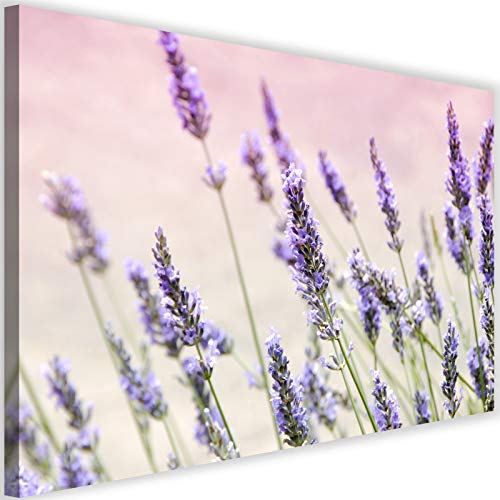 Fleurs et plantes paysage violet pour créer un salon apaisant