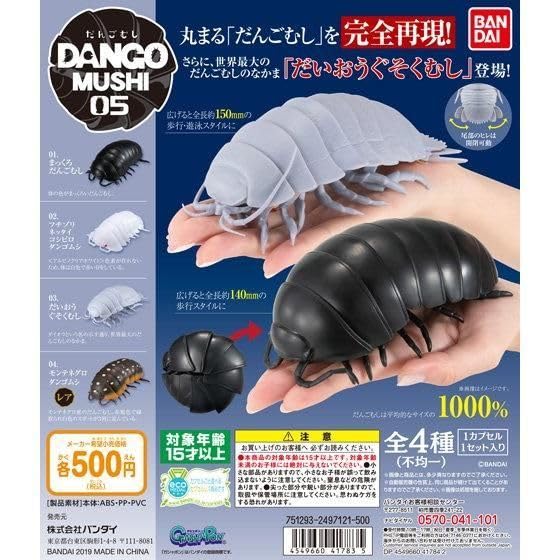 Amazon.co.jp: BADANI だんごむし05 フチゾリネッタイコシビロ