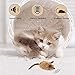Vealind GiGwi Interactive Cat Toys Auto Moving Mice with Lifelike Squeaky Sound Mouse Toy (Coffee)