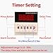 Cycle Timer Alarm with Flashing Light - 0-110dB Adjustable Siren, Automatic Repeat Timing for Industrial Safety, Facility Reminders, Workshops, Gyms, Kitchens, Laboratories (AC110V)