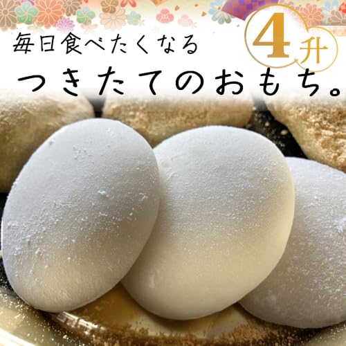 エムケー精工(MK Seiko) 餅つき機「もちつき」 RM-721SZ の商品画像 2