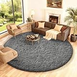 Ophanie Round Rug 8Ft Grey Circle Area Rugs, Large Fluffy Fuzzy Living Room Carpet 8 feet, Plush Shag Solid indoor Floor Gray Bedroom Christmas Circular Aesthetic Decor for Kids Teen Boys Baby,Nursery