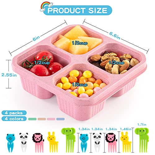 4 Pack Snack Containers, 4 Compartments Bento Snack Box, Reusable Meal Prep Lunch Containers for Kids and Adults, Food Storage Containers with Transparent Lids, No BPA, Microwave and Dishwasher Safe - Image 3