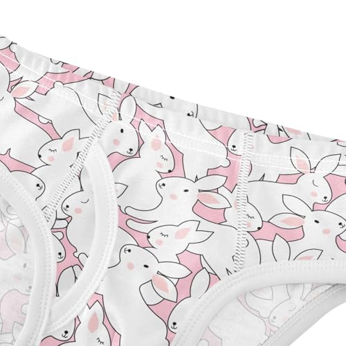 Wusikd Cute Rabbits Boys' Underwear Cotton Bunnies Pink Boys Briefs Soft Toddler Underwear 6Y4