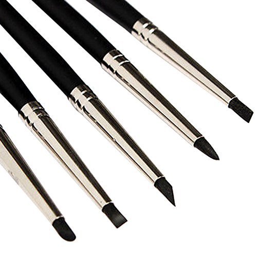 Hyatt's Princeton Artist Brush, Catalyst Polytip Brush Set for Acrylic and Oil Paint, 6403 5 Piece Set