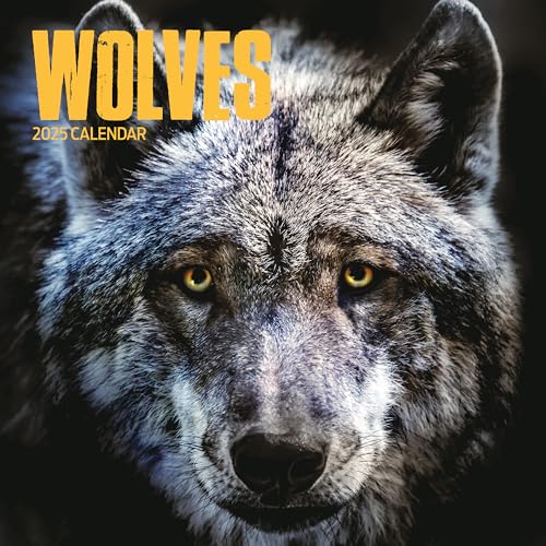 Calendario 2025 de Wolves dile adiós al desorden diario con este planificador de pared