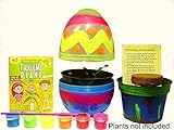 TickleMe Plant Egg Shaped Terrarium with Paint Set! Paint This Large 6 inch Egg and Grow The Plants Inside. The Leaves Close Up When Tickled. It Can Produce Sparkling Pink Flowers.