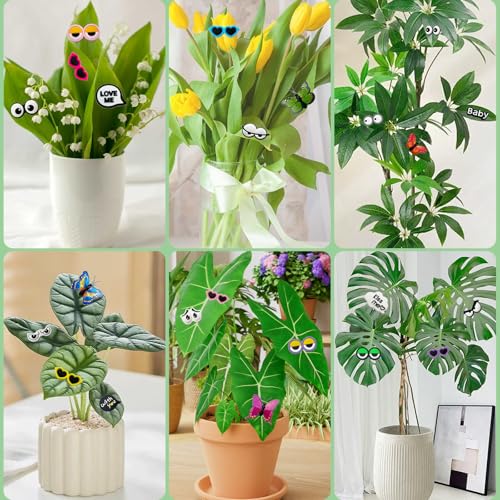 Yeux de Plantes Aimantés pour Décorer les Feuilles sans les Abîmer
