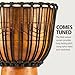 Meinl Percussion ADJ2-M+BAG African Style Rope Tuned 10-Inch Wood Djembe with Bag, Brown