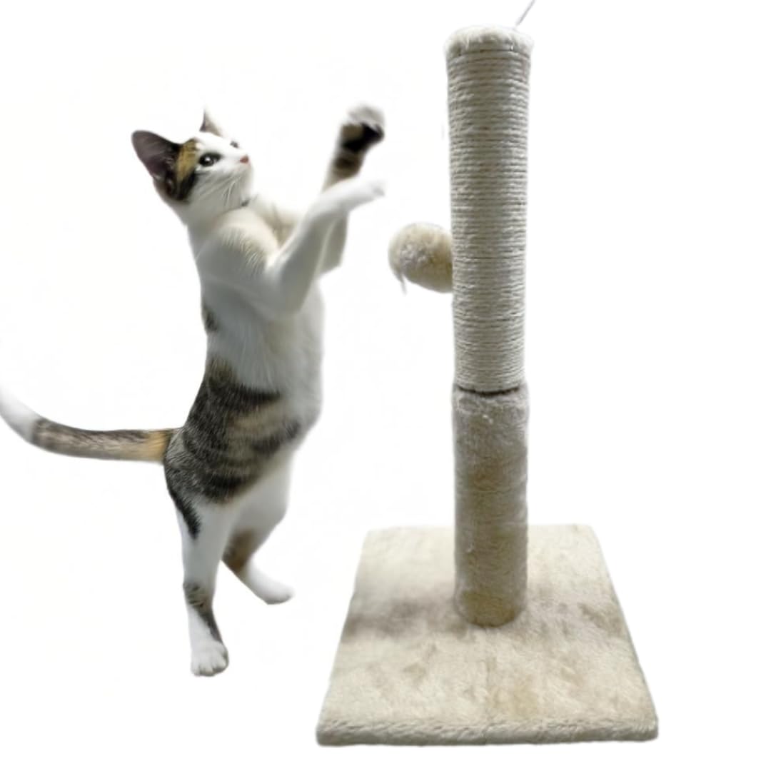 Pets Crew 48cm Cat Scratching Post with Sisal Pole, Plush Base, Pom-Poms, Biege, 48 cm