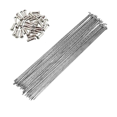 Rayons de vélo 14G 288mm en acier inoxydable pour VTT et route - 3