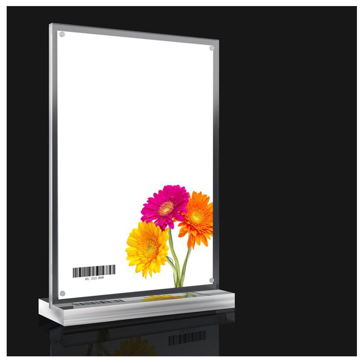Purzen Acrylic Sign Holder, Portrait Ad Frames, Clear Picture Frame for Signs, Brochure, Flyer, Menu, Paper, Poster, Display.,150x210mm