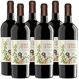 Aglianico Igt Paestum | Cjernivjento | 6 Bottiglie 75Cl | Vino Rosso Fermo Senza Solfiti Aggiunti | Uve da Allevamento Biologico | Parco Nazionale del Cilento | Produzione Naturale