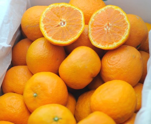 _ J}_ 3kg 󂠂 Q ݂ ~J 