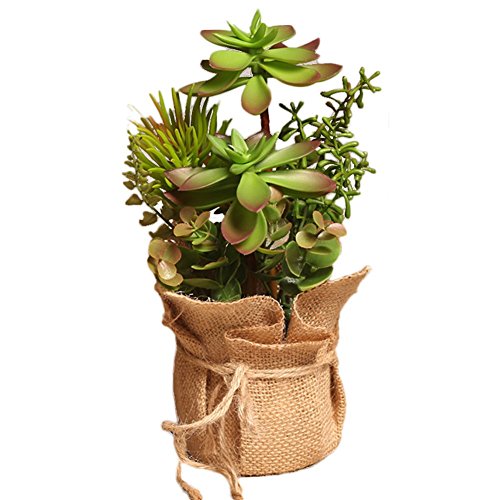 Drawihi - Plantas en maceta artificial suculentas para decorar el hogar, verde y rojo, 25*14cm