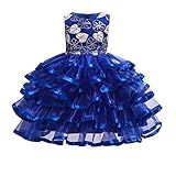 baixia - costumi di carnevale per bambine, vestiti da bambina, abbigliamento per compleanno, festa nuziale, vestito da principessa royal blue 7-8 anni