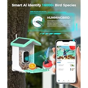 Bird Feeder with Camera, 4K HD AI Identify Bird Species, Smart Solar-Powered Bird Feeder, Auto Capture Bird& Motion Detection for Watching, Camera Bird Feeders Present for Bird Lovers Bird Feeder with Camera 4K HD AI Identify Bird Species Smart Solar Powered Bird Feeder Auto Capture Bird Motion Detection for Watching Camera Bird Feeders Present for Bird Lovers