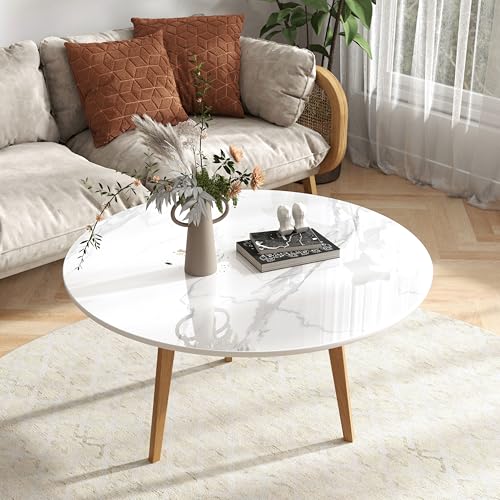 ZL ZELing 70cm Runde Tischplatte aus weißem gesintertem Stein - Ganzjährig, für drinnen und draußen, geeignet für ESS-, Kaffee- und Beistelltische