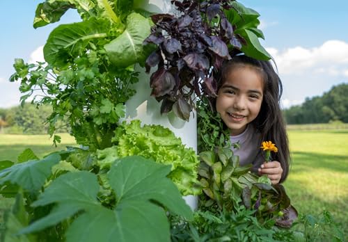 Vertical farming system