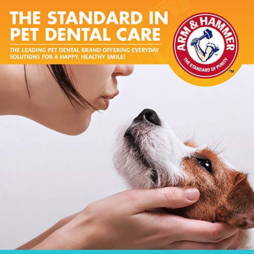 image for Arm & Hammer for Pets Dental Enzymatic Toothpaste for Dogs | No More D