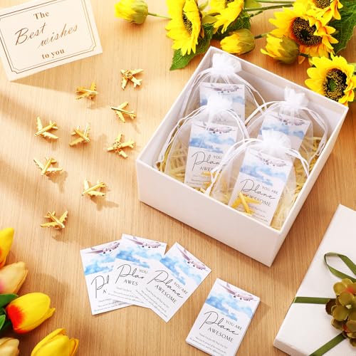 Tondiamo Flight Attendant Gifts Bulk Travel Party Favors Airplane Pins Cards Flight Attendant Accessories Travel Decorations 5