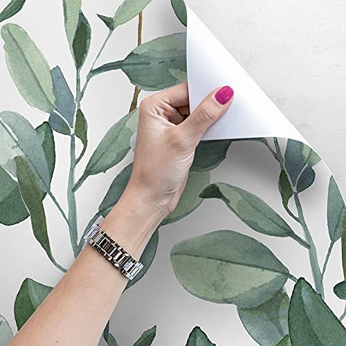 Papier peint meuble eucalyptus pour masquer les défauts muraux - 4