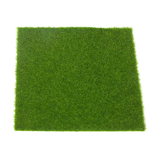 1XlHŃtFCNXlHŃ}bgdG~[VŐƂ̑~j`A30x30cm