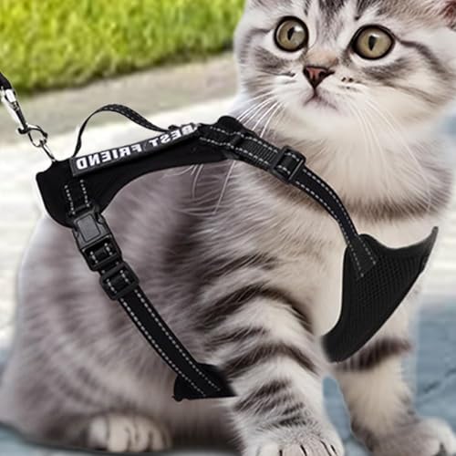 Arnés antiescape para gatos pequeños y grandes que buscan máxima comodidad 4