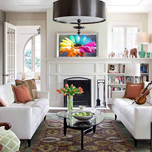 image for DIY 5d Diamond Painting Kits for Adults, Mosaic Making Full Drill Colo