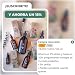 ACEITE DE FENOGRECO ORGÁNICO | Aceite Macerado de Semillas de Fenogreco y...