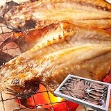 干物 沼津の特選アジの干物 特大サイズ 14枚入 五島産 天然アジ使用 北晃水産 ひもの シーフード 海鮮 グルメ