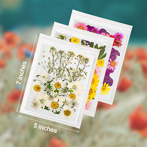 Dried Flowers-116 PCS Natural Dried Flower Herbs Kit for Bath, Soap Making, Candle Making and DIY Resin Jewelry Making Art Floral Decors