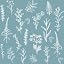 Gray-blue Leaves