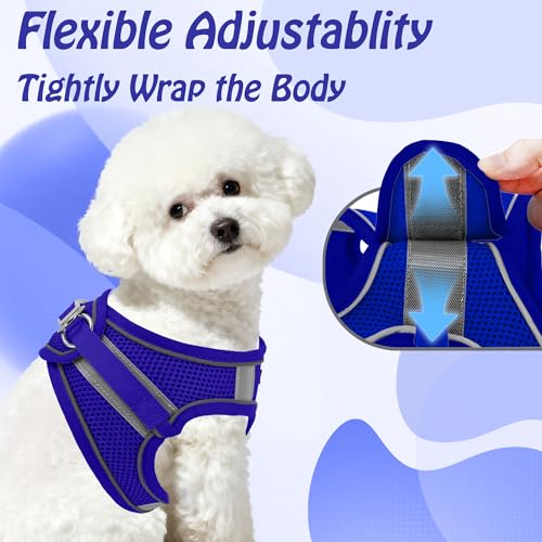 Image of AIITLE Small Harness for Puppy with A Leash - Dog Vest Harness with Super Breathable Mesh, Reflective No-Pull Pet Harness for Outdoor Walking, Running for Small Dogs, Cats Royal Blue XXS
