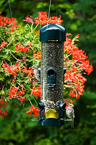Brome Mega 600 Bird Feeder – Large Capacity Tube Feeder for Wild Birds, 6 Feeding Ports, 4 lb Seed Capacity, Easy to Clean, Metal Ports, Extendable Perches - Thumbnail 3