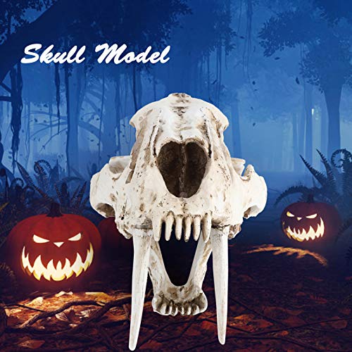 Crânio de tigre de resina Crânio de animal, excelente acabamento Simulação de alta simulação Modelo