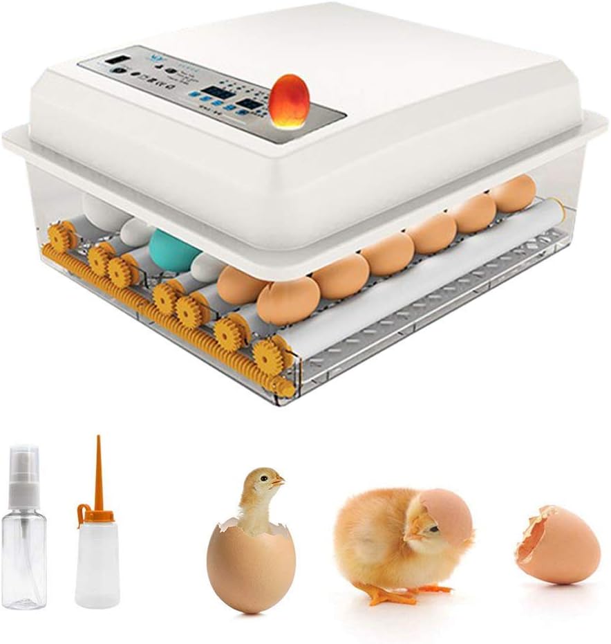 InLoveArts 16 Egg Incubator, Digital Automatic Hatcher with Temperature Control Automatic Turning for Egg Duck Egg Bird Egg Turkey Eggs Home Use