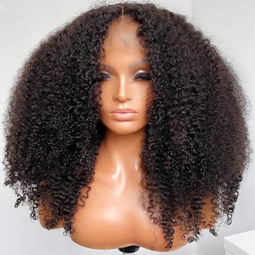 SUNTU Lace Front Wigs Human Hair Kinky Curly Wig 13x4 HD Transparent Lace Wigs Afro Kinky Curly Human Hair Wigs Pre Plucked Bleached Knots With Baby Hair Natural Hairline (20 Inch)