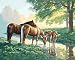 Dimensions Needlecrafts PaintWorks Paint By Number Kit, Horses by a Stream