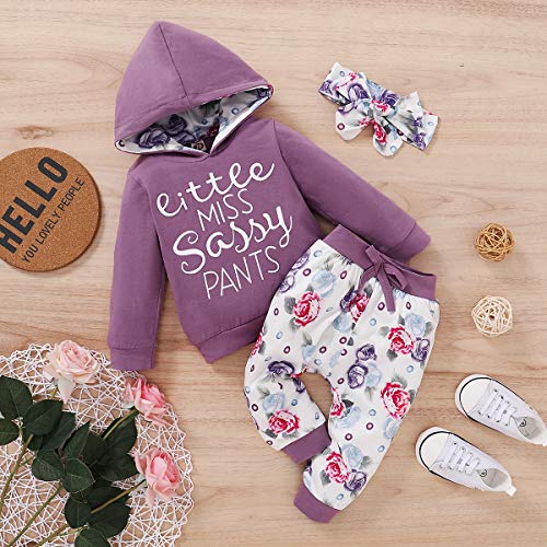 Image of Newborn Baby Girl Long Sleeve Bodysuit Romper Overalls with Hood + Trousers Outfits Set Autumn Clothing Set