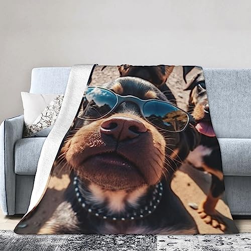 i8j uPbg ѕz ѕz tl ӂӂ _炩 ΍ Ódh~ R hL g  lGʗp 150cm×200cm