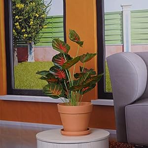 Yishang 9 Inch Clay Pot for Plant with Saucer - 2 Pack Large Terra Cotta Plant Pot with Drainage Hole, Clay Planters Pot, Terracotta Pot for Indoor Outdoor Plant,Round Flower Planter Pots for Plants Yishang 9 Inch Clay Pot for Plant with Saucer 2 Pack Large Terra Cotta Plant Pot with Drainage Hole Clay Planters Pot Terracotta Pot for Indoor Outdoor PlantRound Flower Planter Pots for Plants