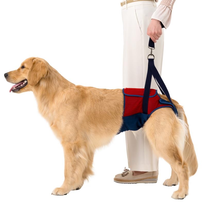 犬介護 ララウォーク 新品 【公式通販】
