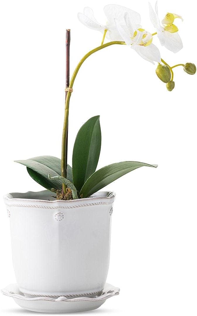Juliska Berry & Thread Whitewash 5.25" Round Ceramic Planter & Saucer