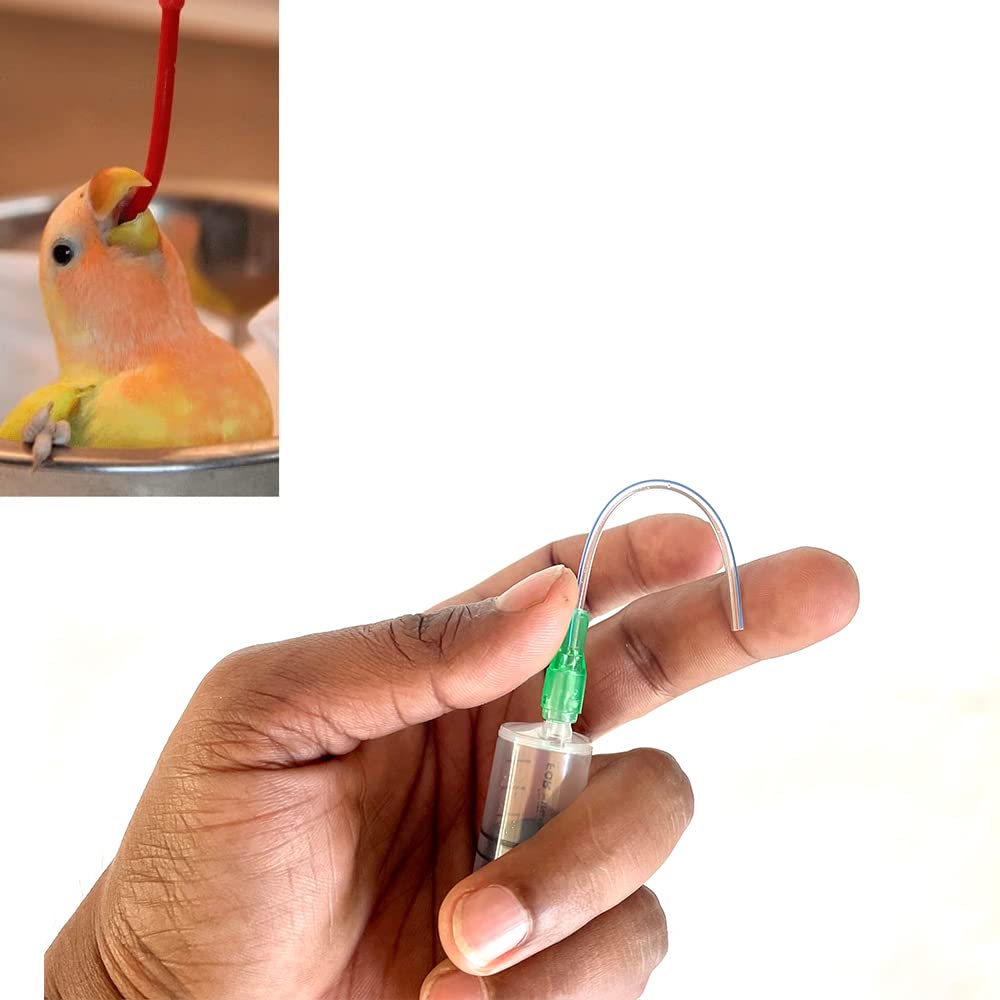 CJ farms and Agritech 12 Ml Bird Hand Feeding Syringe With Soft & Flexible Needle (B0BSFQWL8G) Amazon Price History, Amazon Price Tracker